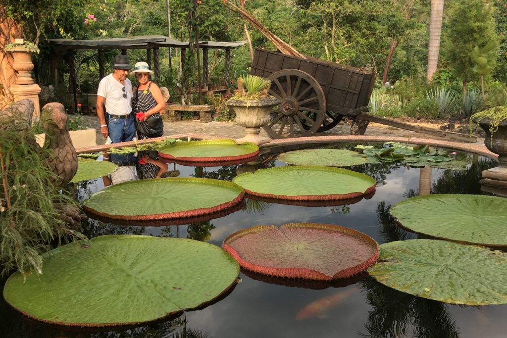 puerto vallarta nature tours