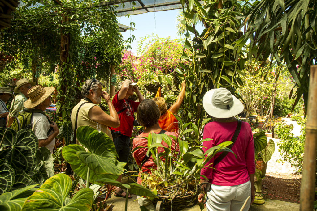 puerto vallarta nature tours