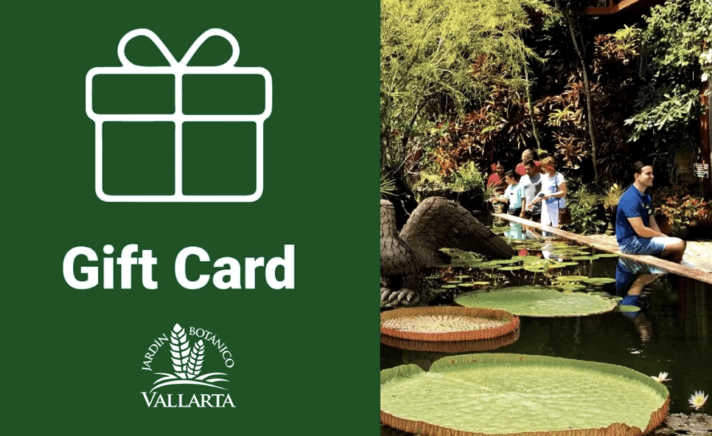 gift card VBG